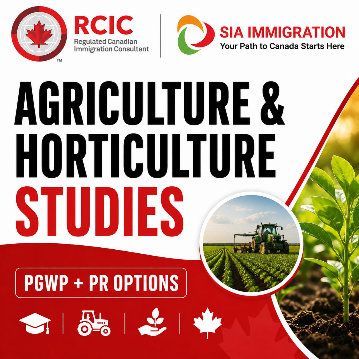 Agriculture & Horticulture Studies in Canada 2026 | PGWP & PR Options | Sia Immigration