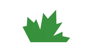 Evergreen Private logo