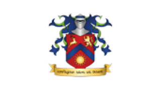 Insignia College logo