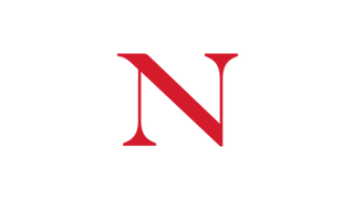 Northeastern University Toronto* logo